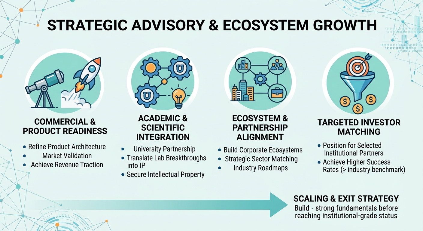 Strategic Advisory Beyond Traditional Venture Capital for Scale-Ups and Research Spin-Outs Montenegro